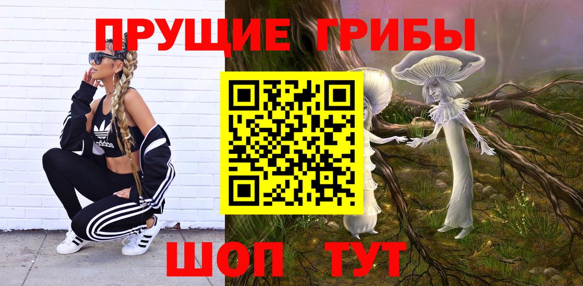Галлюциногенные грибы GOLDEN TEACHER  где купить наркоту  Железногорск  Вход с VPN 